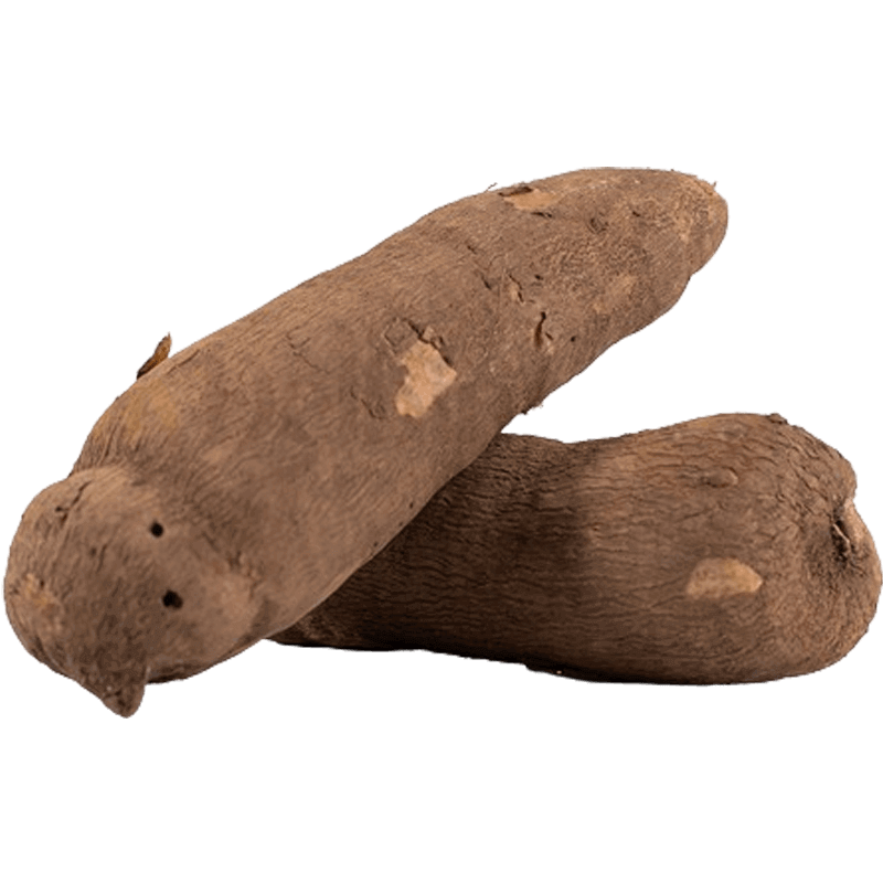 yam tuber