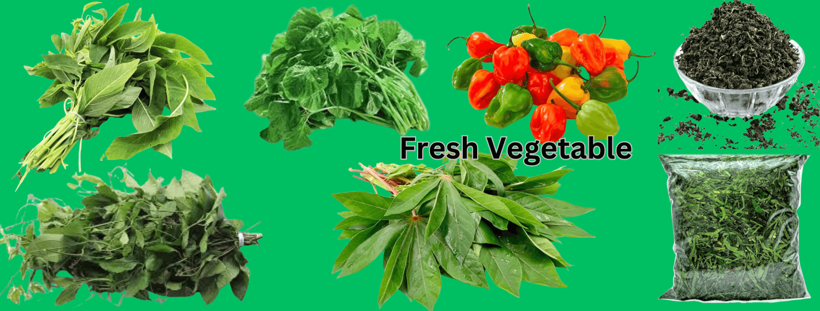 Fresh Vegetable